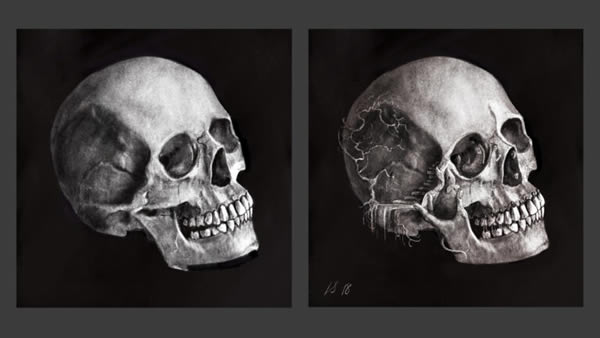 Skulls before after